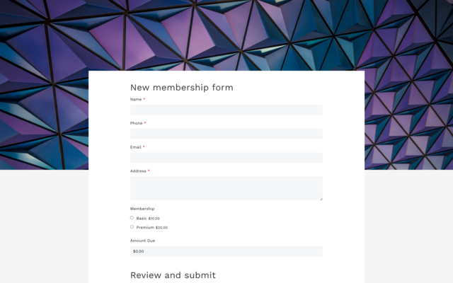 Google payment form